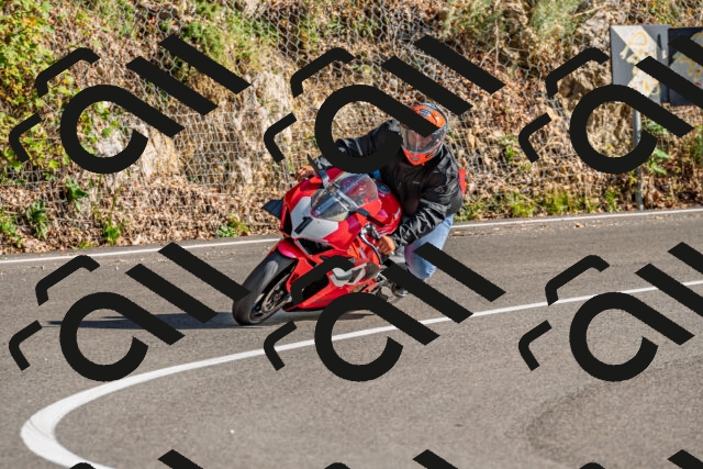 202509201623-DSC_2008_d2_