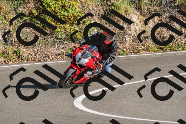 202509201623-DSC_2009_d2_