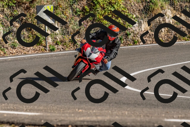 202509201623-DSC_2010_d2_