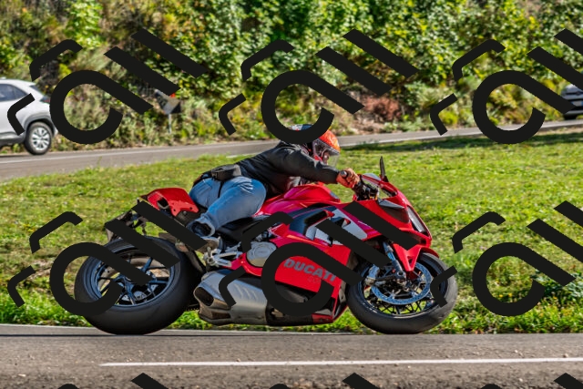 202509201623-DSC_2013_d2_