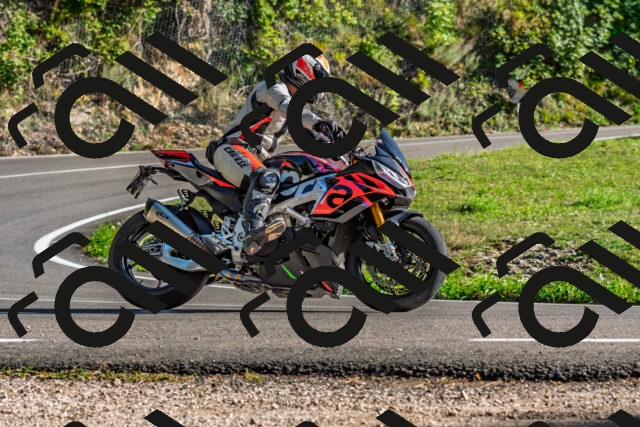 202509201625-DSC_2024_d2_