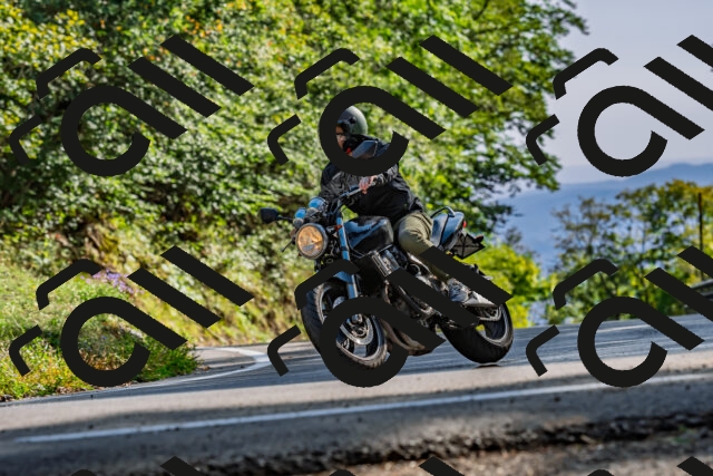 202509201627-DSC_2028_d2_