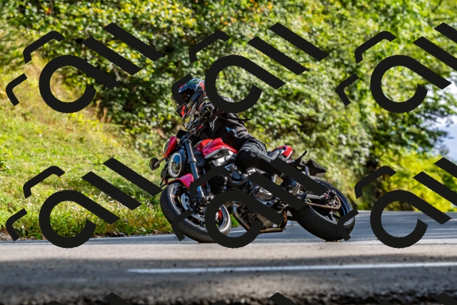 202509201631-DSC_2039_d2_