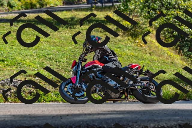 202509201631-DSC_2040_d2_