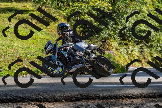 202509201631-DSC_2041_d2_