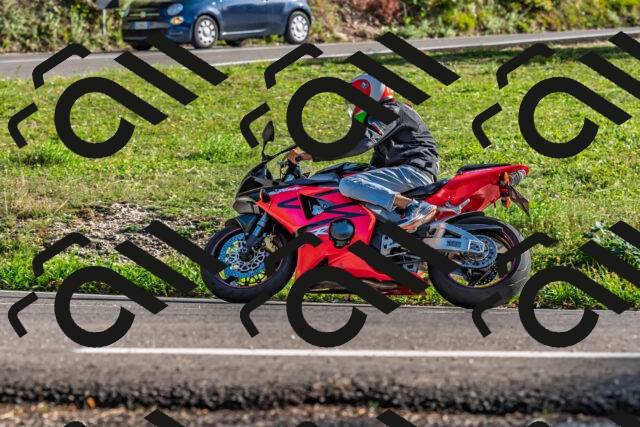 202509201634-DSC_2069_d2_