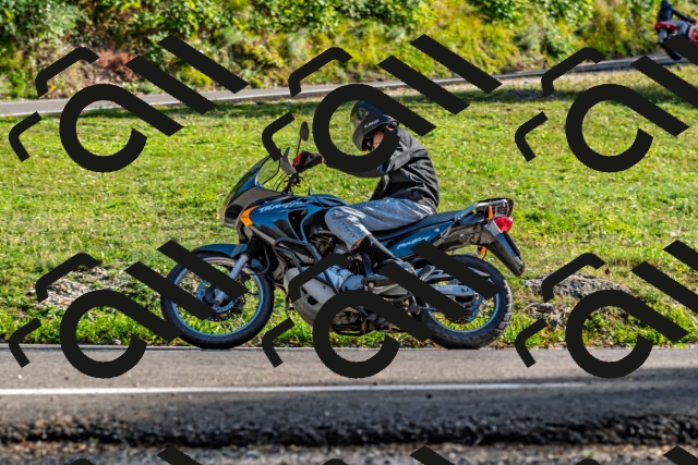 202509201636-DSC_2079_d2_