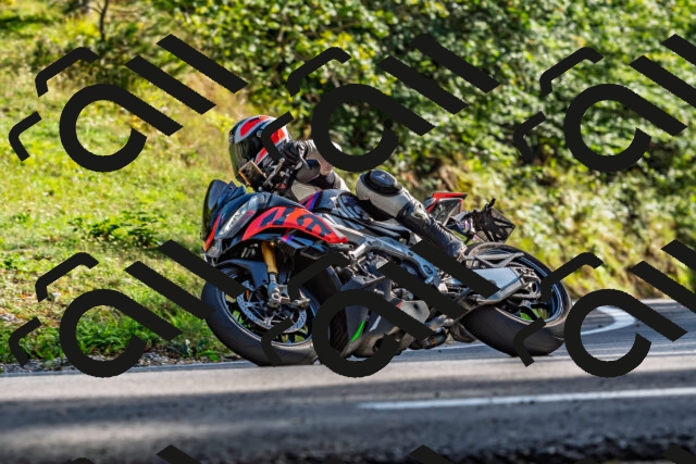 202509201639-DSC_2089_d2_