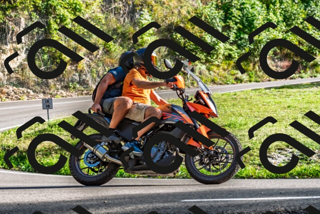 202509201655-DSC_2187_d2_