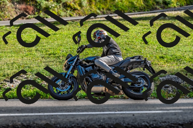 202509201656-DSC_2194_d2_