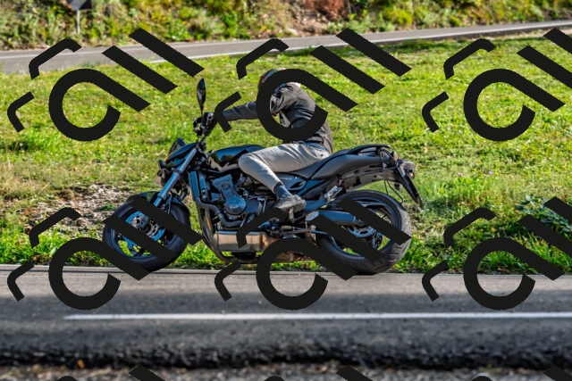 202509201656-DSC_2195_d2_