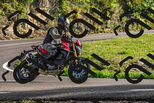 202509201657-DSC_2211_d2_