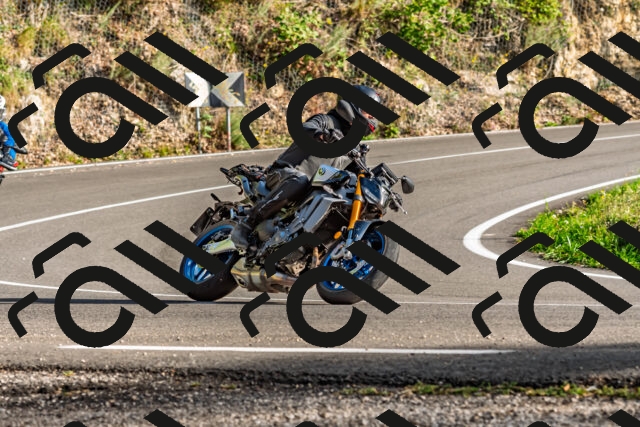 202509201657-DSC_2214_d2_