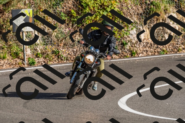 202509201700-DSC_2227_d2_