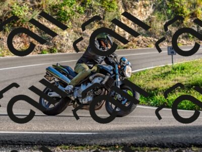 202509201700-DSC_2229_d2_