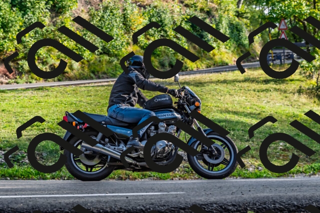 202509201711-DSC_2250_d2_