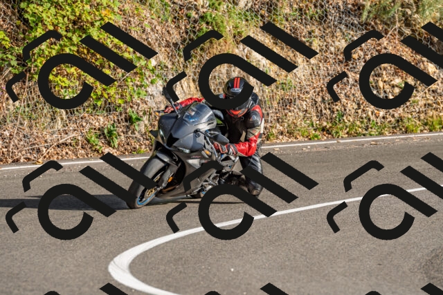 202509201713-DSC_2251_d2_