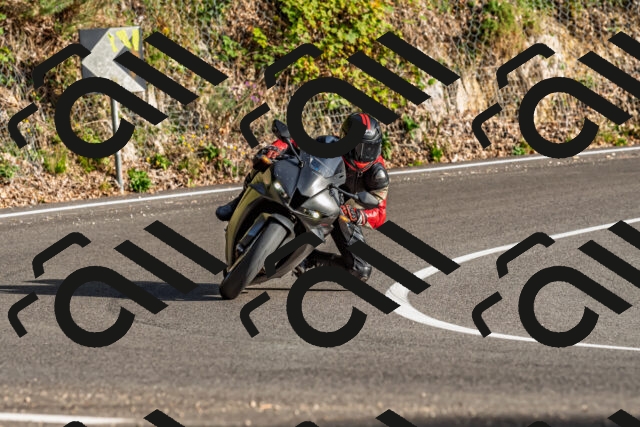 202509201713-DSC_2253_d2_