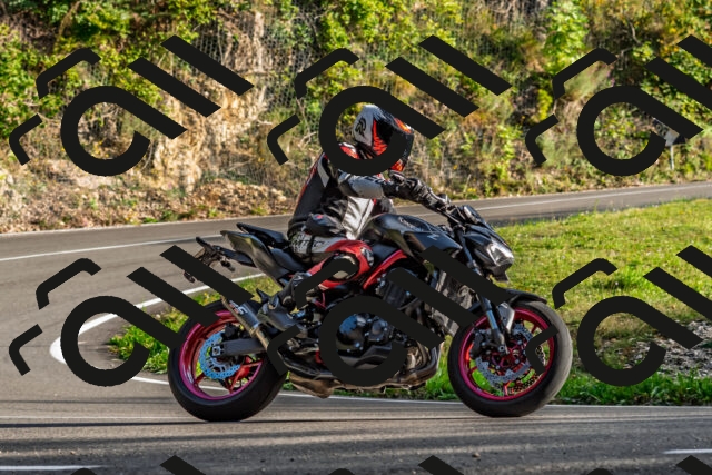 202509201718-DSC_2276_d2_