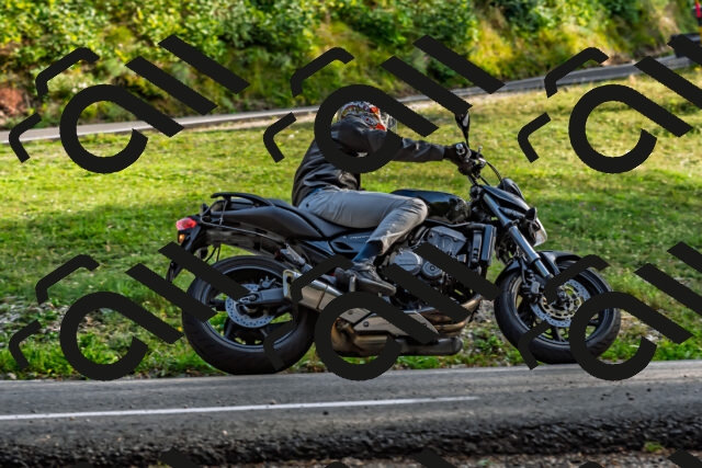 202509201721-DSC_2281_d2_