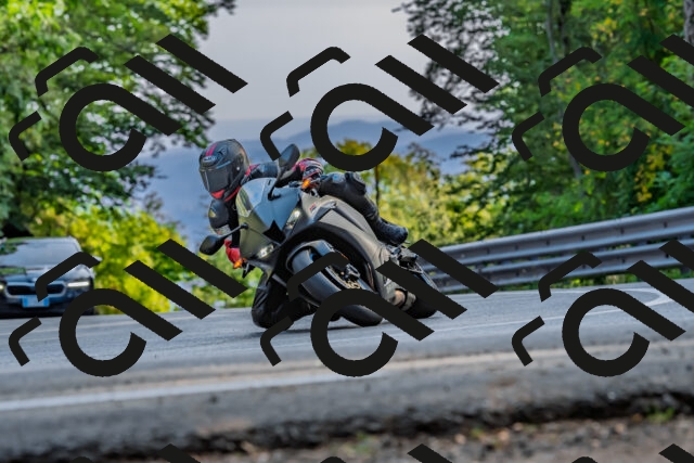 202509201722-DSC_2284_d2_