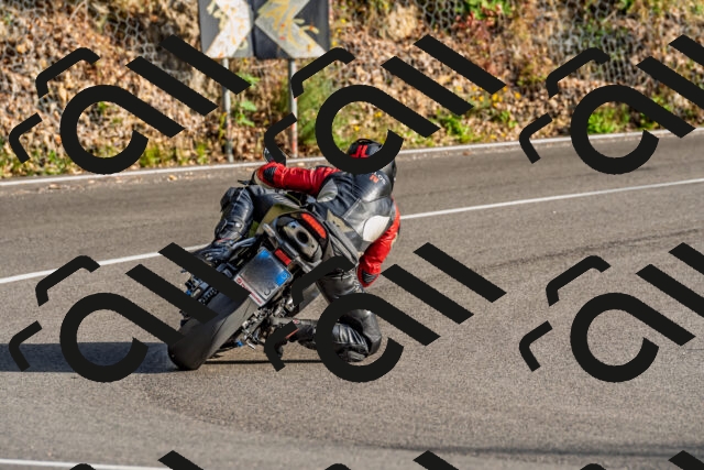 202509201722-DSC_2293_d2_