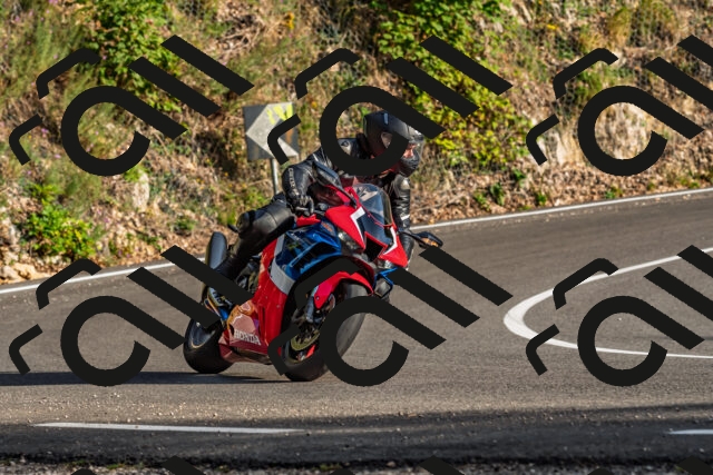 202509201729-DSC_2300_d2_