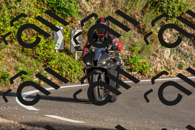 202509201732-DSC_2306_d2_