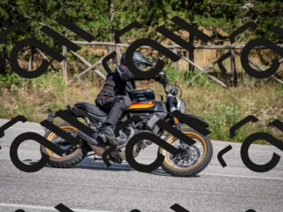 202509211408-DSC_5393_c2