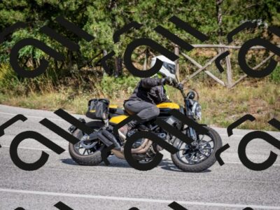 202509211416-DSC_5481_c2