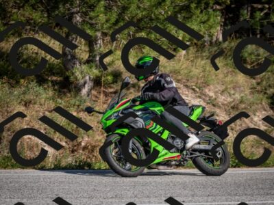 202509211533-DSC_5951_c2