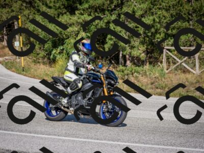 202509211539-DSC_6019_c2