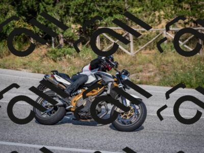 202509211557-DSC_6129_c2