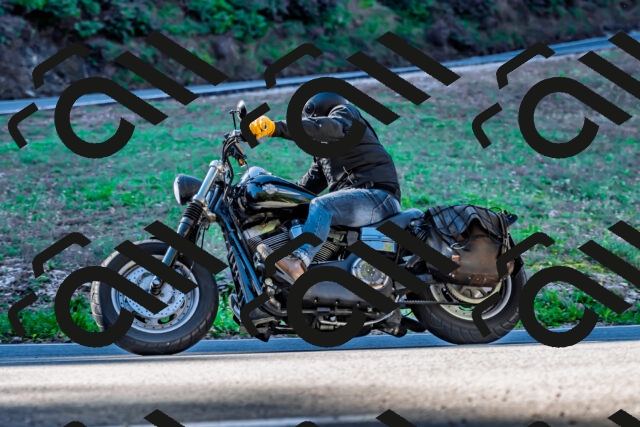 202509211015-DSC_2354_d2_