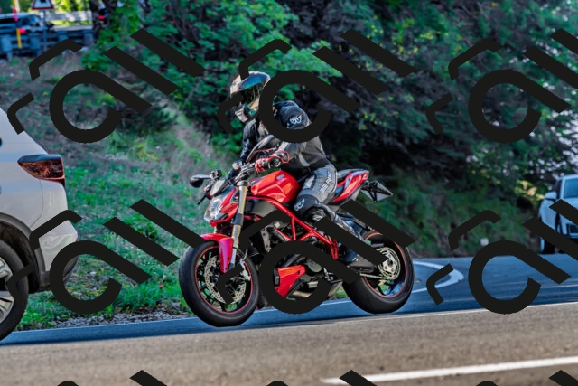 202509211015-DSC_2356_d2_