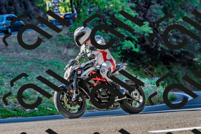 202509211015-DSC_2358_d2_