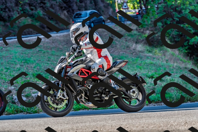 202509211015-DSC_2359_d2_