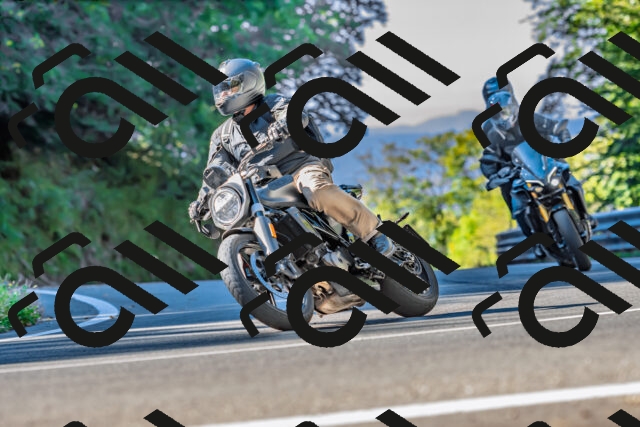 202509211022-DSC_2365_d2_