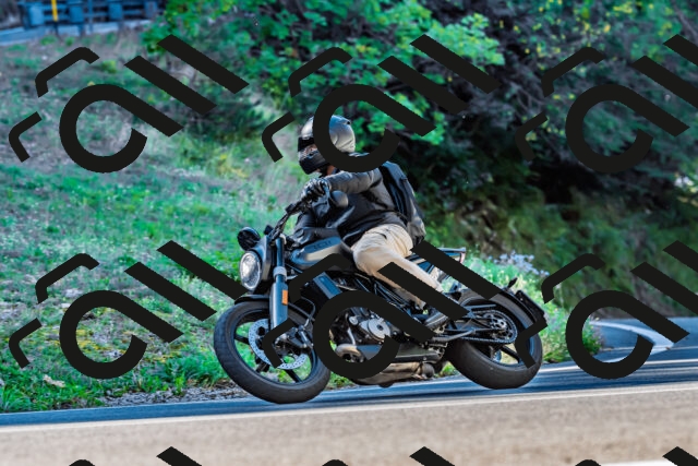 202509211022-DSC_2366_d2_