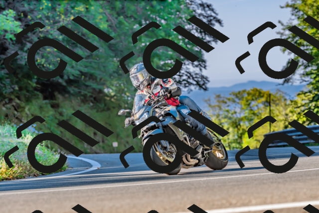 202509211023-DSC_2372_d2_