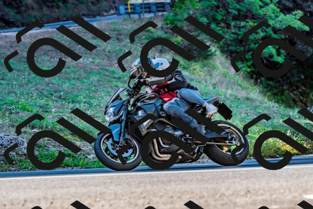 202509211023-DSC_2373_d2_