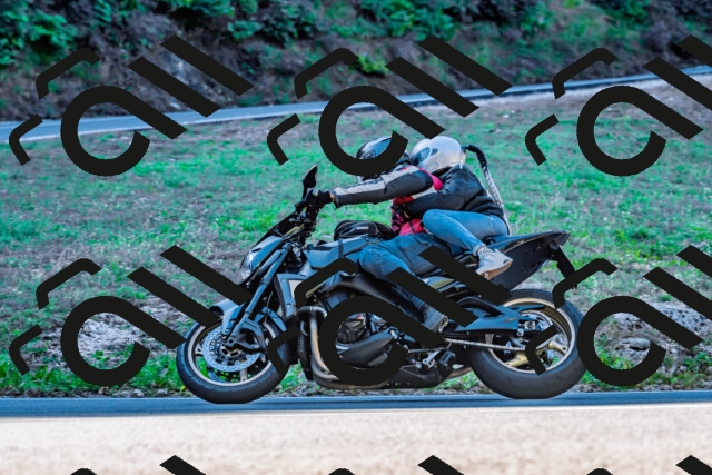 202509211023-DSC_2374_d2_