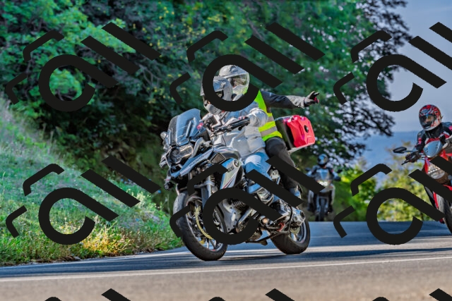 202509211023-DSC_2376_d2_