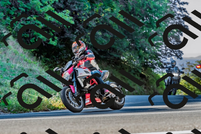 202509211023-DSC_2378_d2_