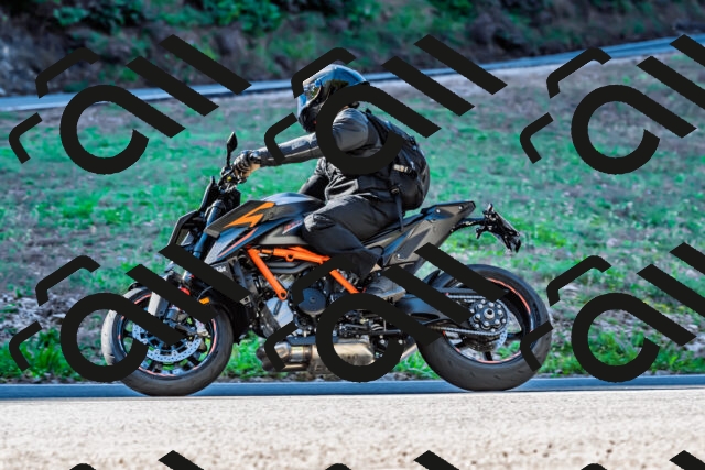 202509211023-DSC_2384_d2_