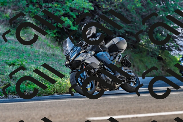 202509211023-DSC_2390_d2_