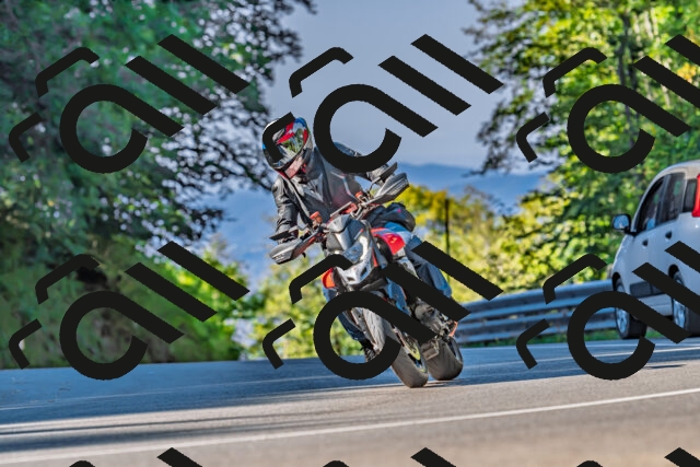 202509211023-DSC_2397_d2_