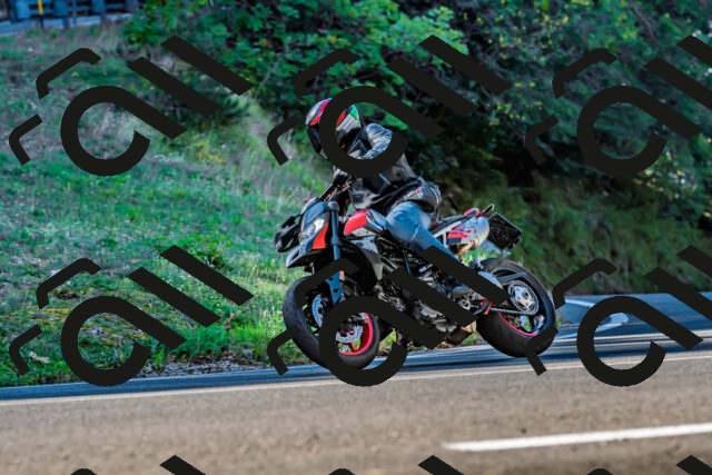 202509211023-DSC_2398_d2_