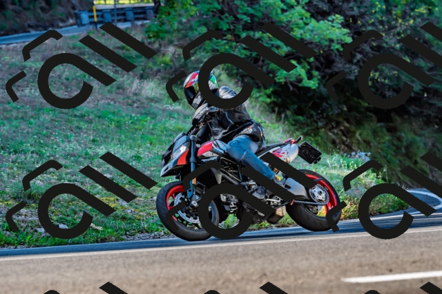 202509211023-DSC_2399_d2_