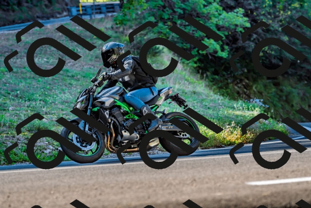 202509211024-DSC_2410_d2_